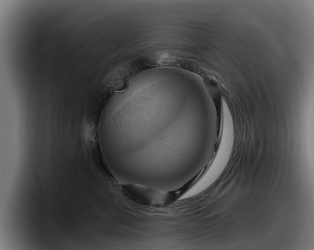 X0000097830571200803201500