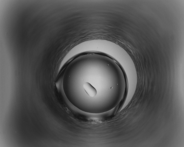 X0000097830572200803201500