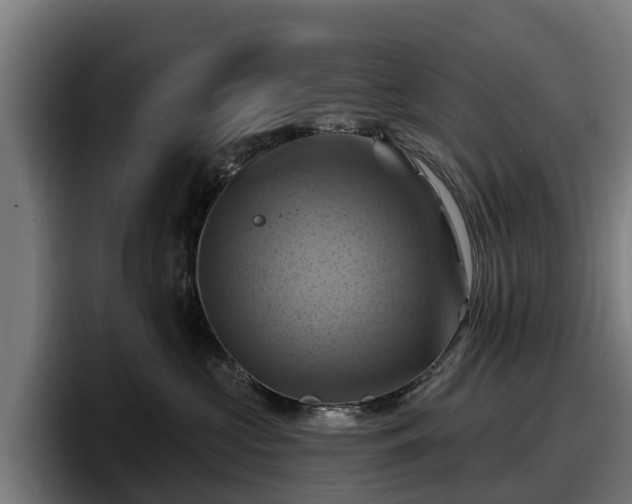 X0000097830573200803201500