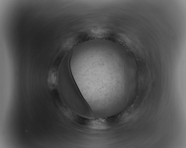 X0000097830576200803201500