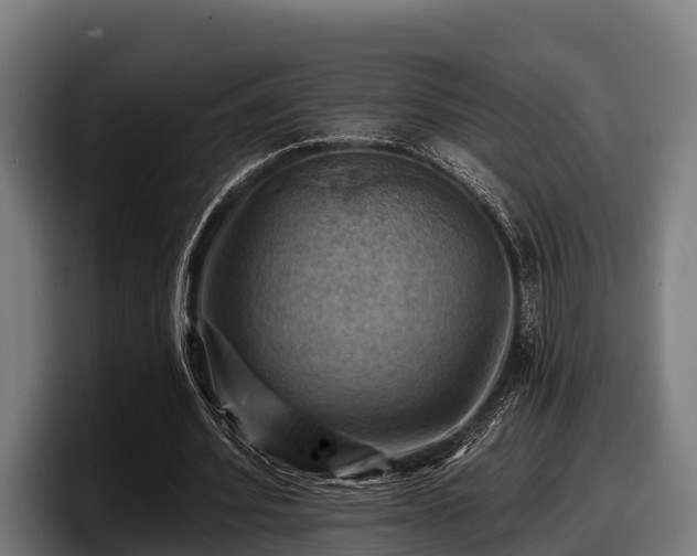 X0000097830580200803201459