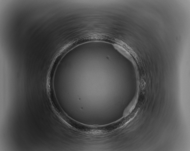 X0000097830581200803201459