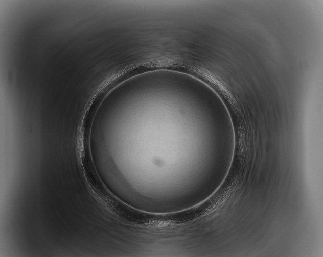 X0000097830582200803201459