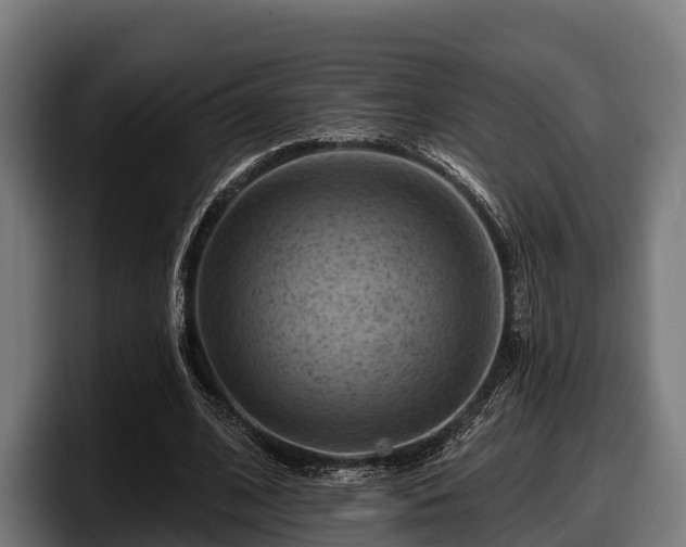 X0000097830584200803201459