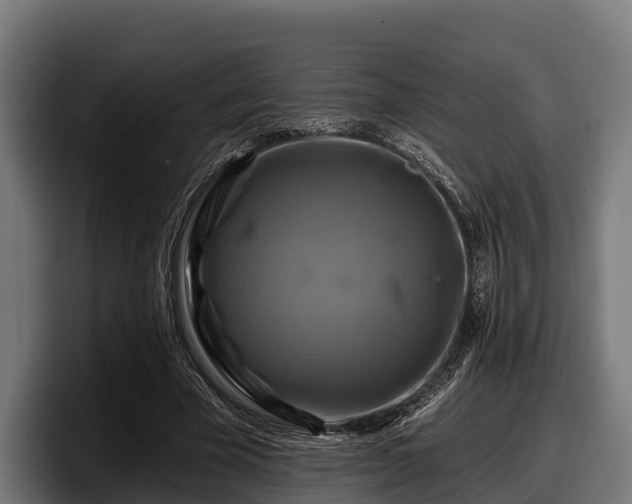 X0000097830585200803201459