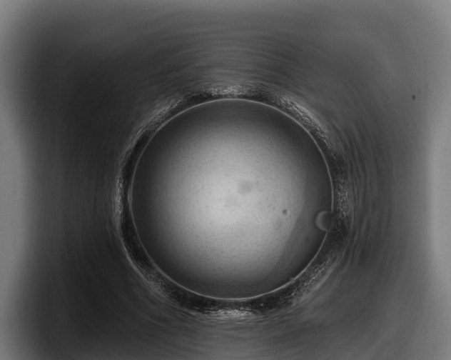X0000097830586200803201459