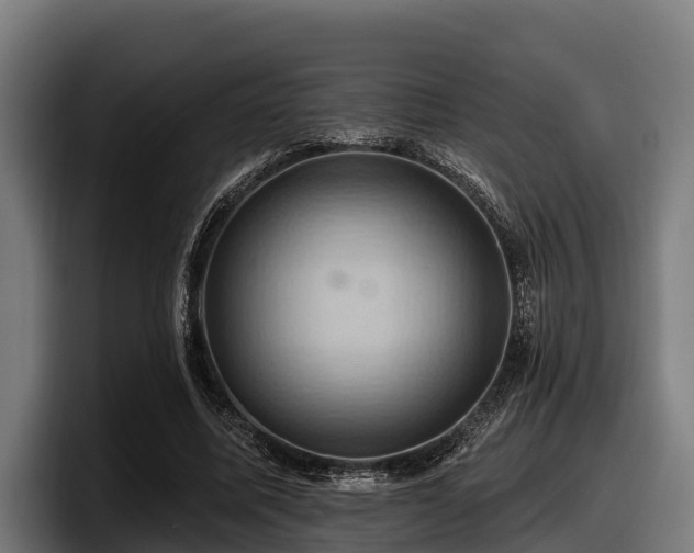 X0000097830587200803201459