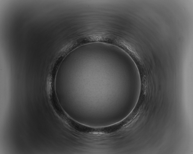 X0000097830590200803201459