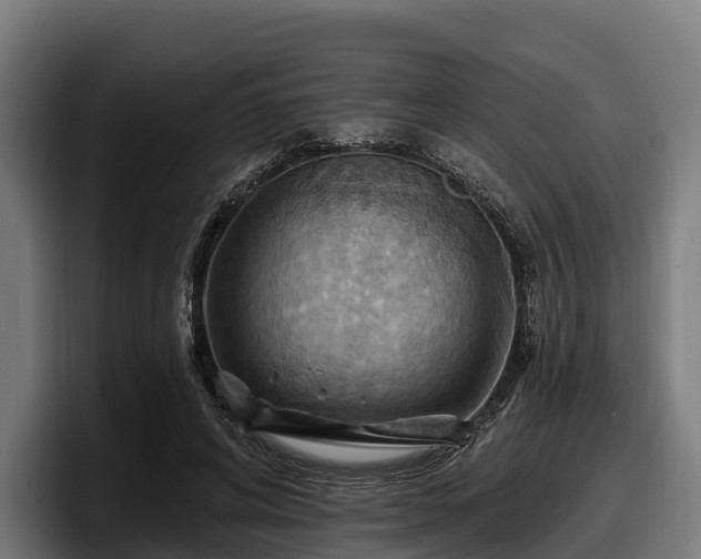 X0000097830592200803201459