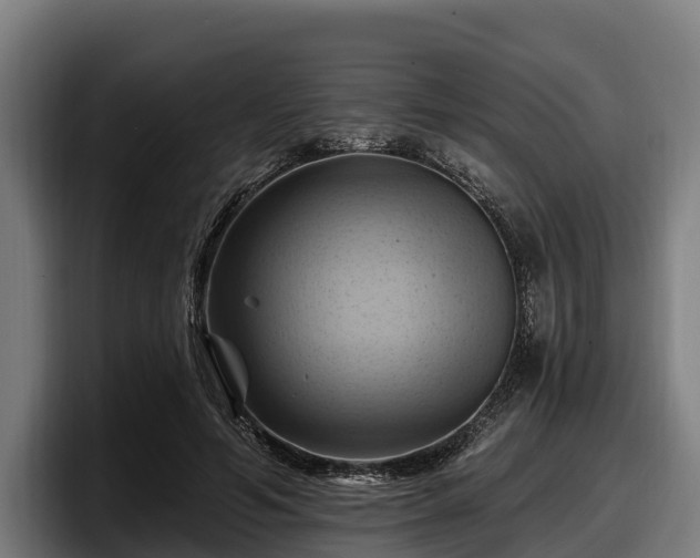 X0000097830594200803201459