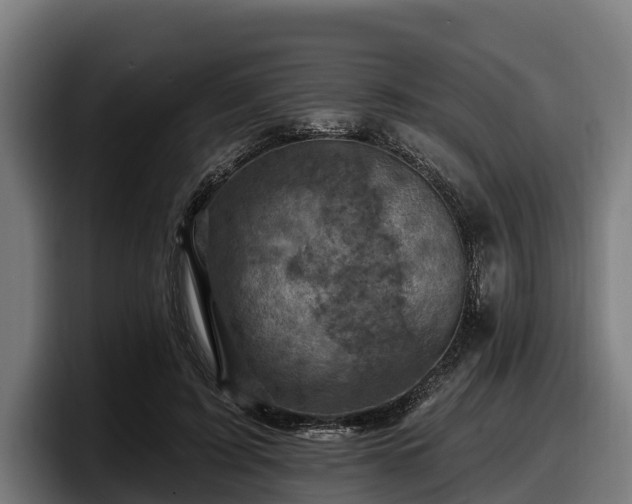 X0000097830595200803201459