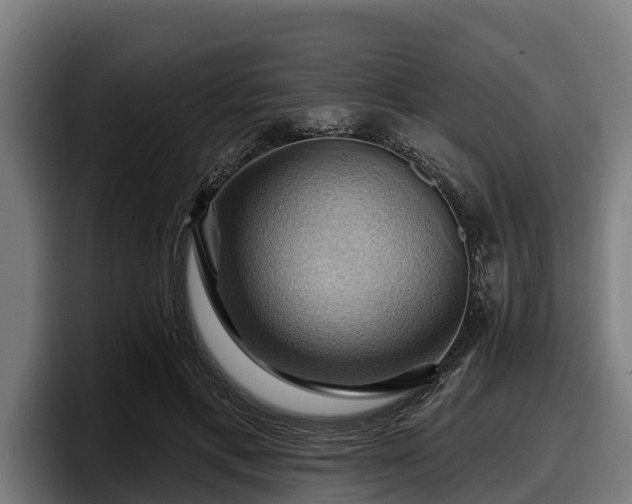 X0000097830597200803201459