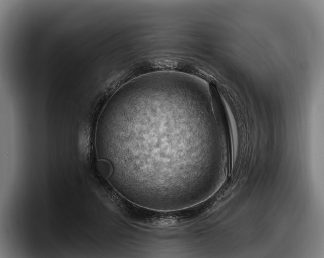 X0000097830600200803201459