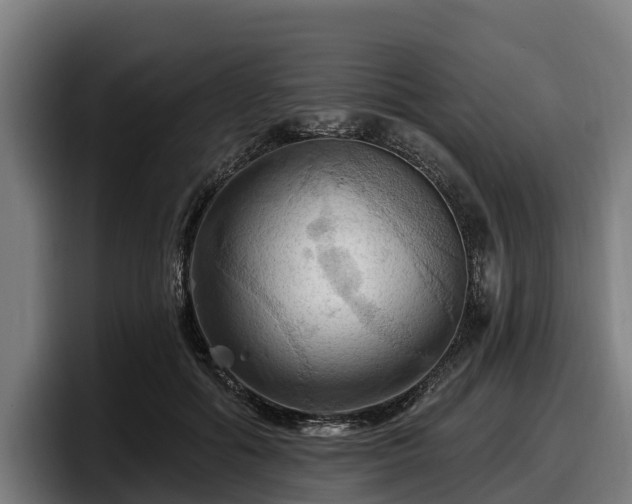 X0000097830602200803201459