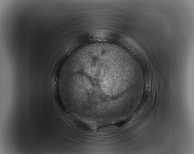 X0000097830603200803201459