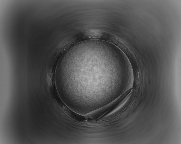 X0000097830604200803201459