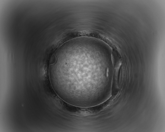 X0000097830608200803201459