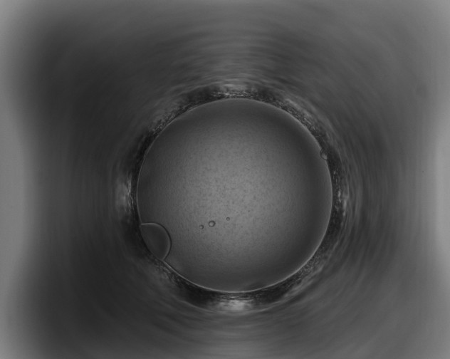 X0000097830610200803201459