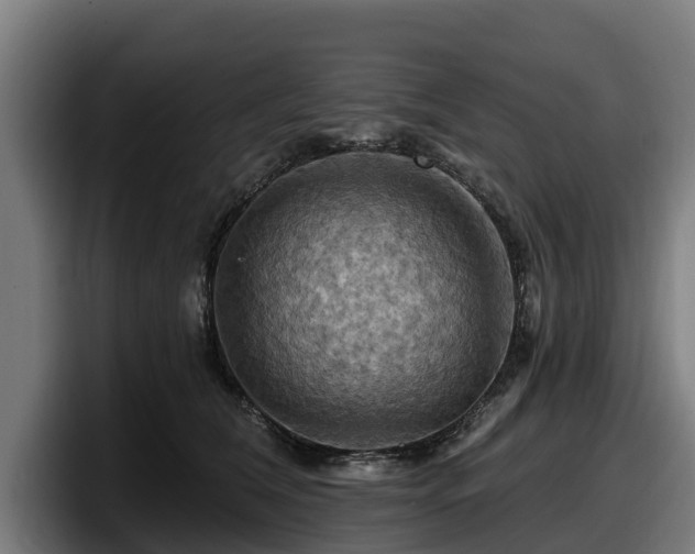 X0000097830612200803201459