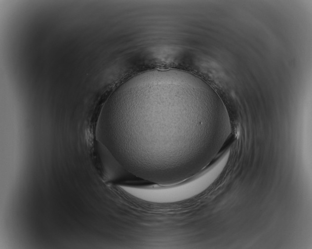 X0000097830613200803201459