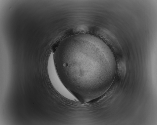 X0000097830617200803201459