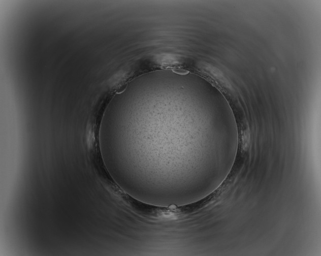 X0000097830618200803201459