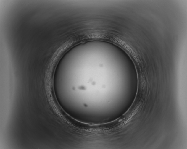 X0000097830625200803201458