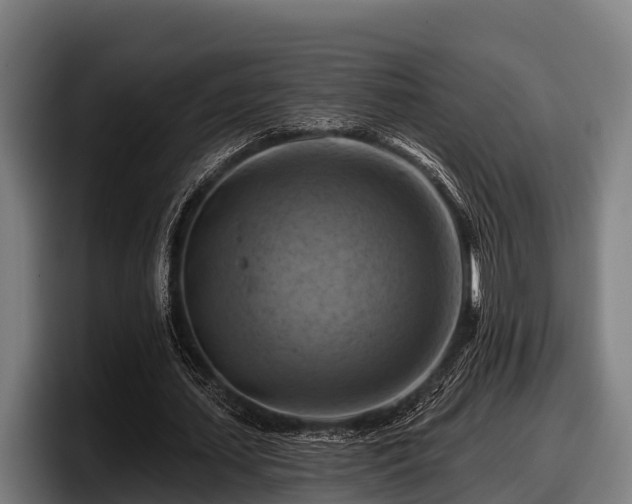 X0000097830627200803201458
