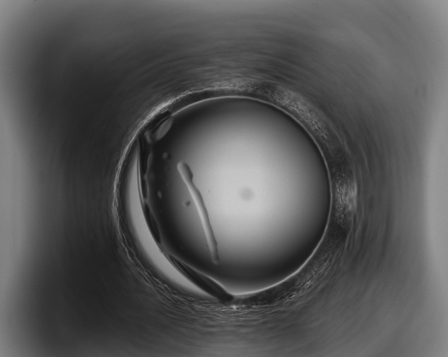 X0000097830628200803201458