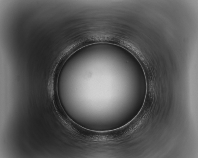 X0000097830629200803201458