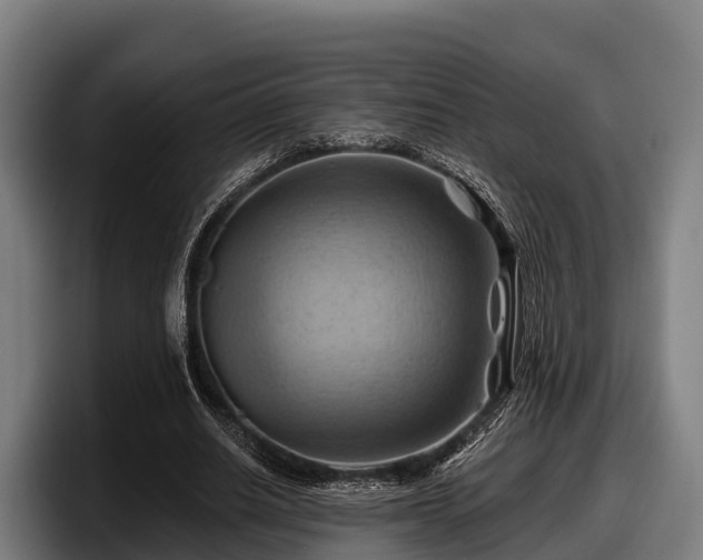 X0000097830630200803201458