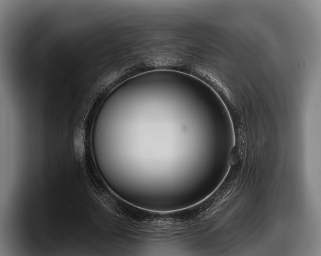 X0000097830631200803201458