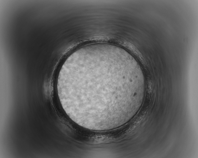 X0000097830632200803201458