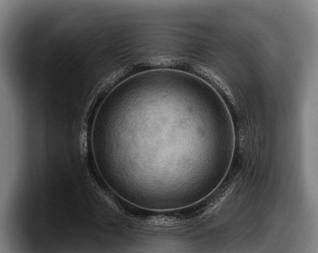 X0000097830633200803201458