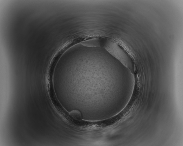 X0000097830634200803201458