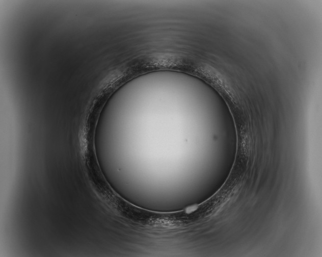X0000097830635200803201458