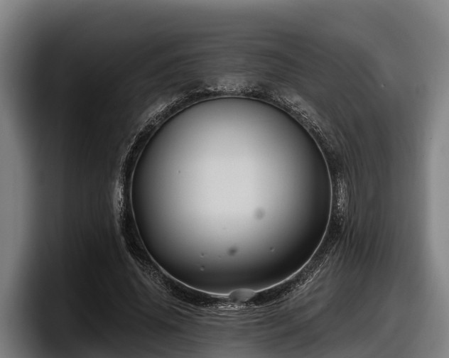X0000097830636200803201458