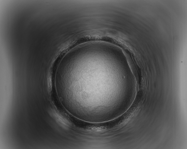X0000097830638200803201458