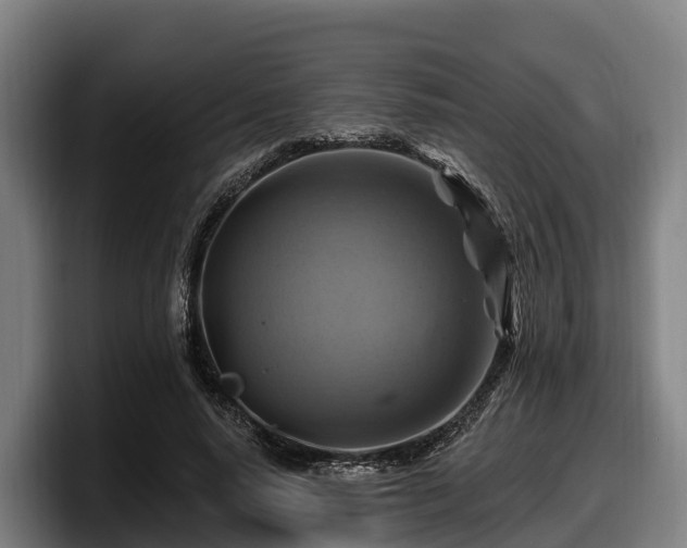 X0000097830640200803201458