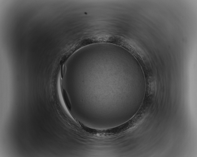 X0000097830641200803201458