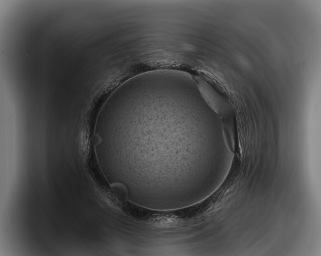 X0000097830642200803201458