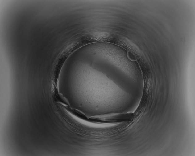 X0000097830644200803201458