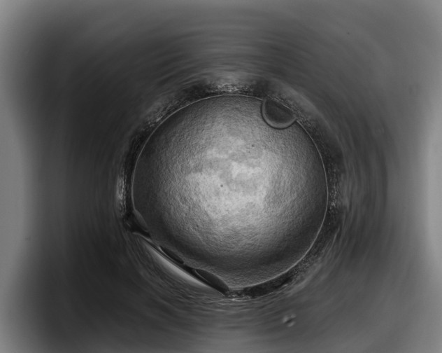 X0000097830646200803201459