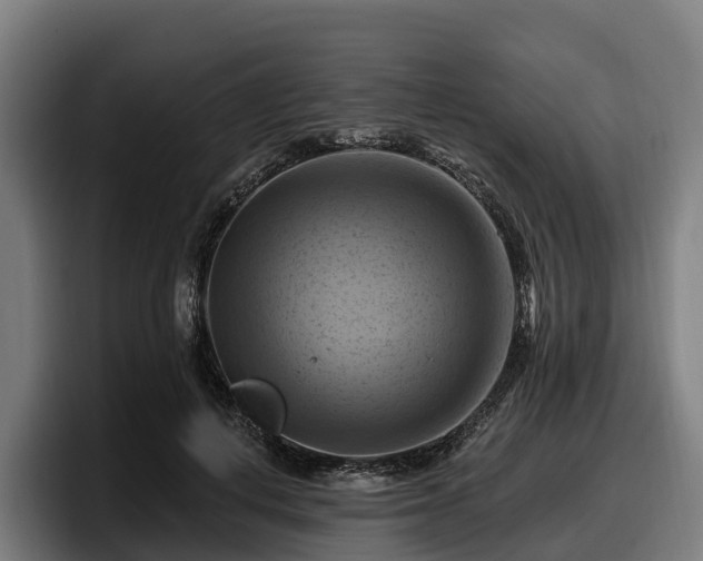 X0000097830648200803201459