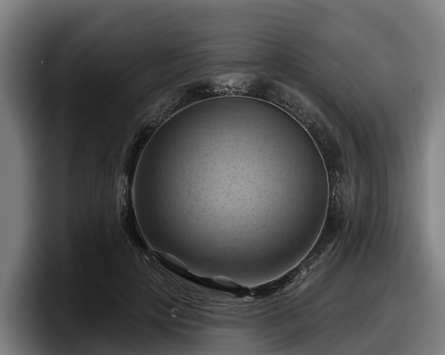 X0000097830649200803201459