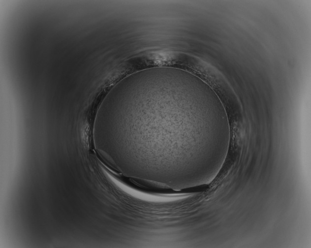 X0000097830650200803201459