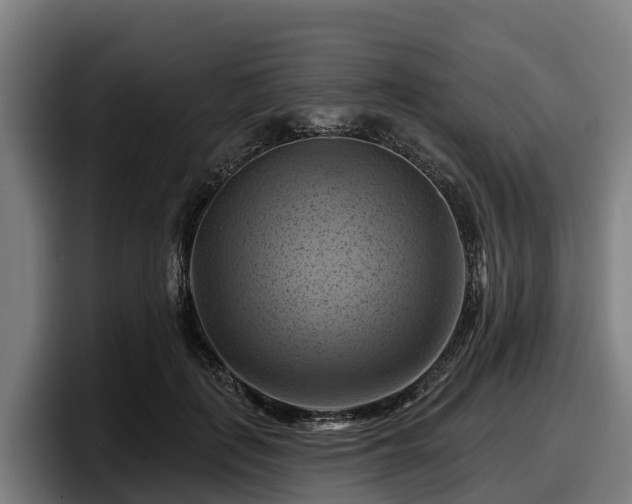 X0000097830651200803201459