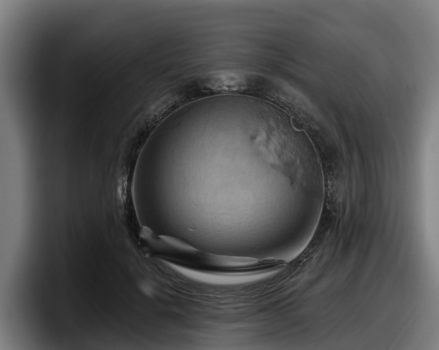 X0000097830652200803201459