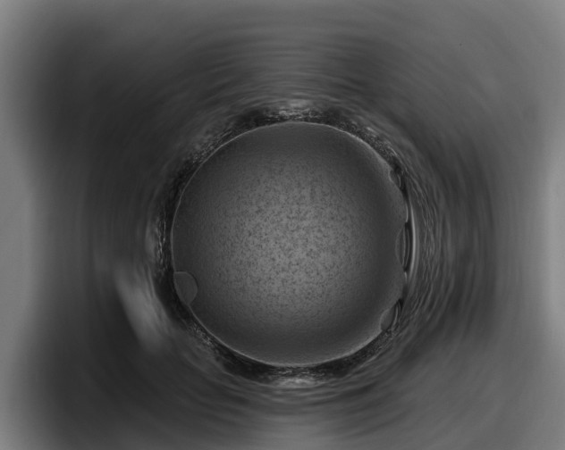 X0000097830653200803201459
