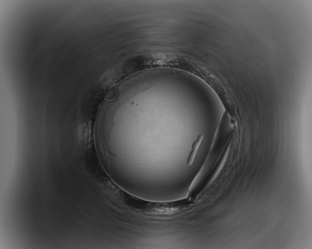 X0000097830657200803201459